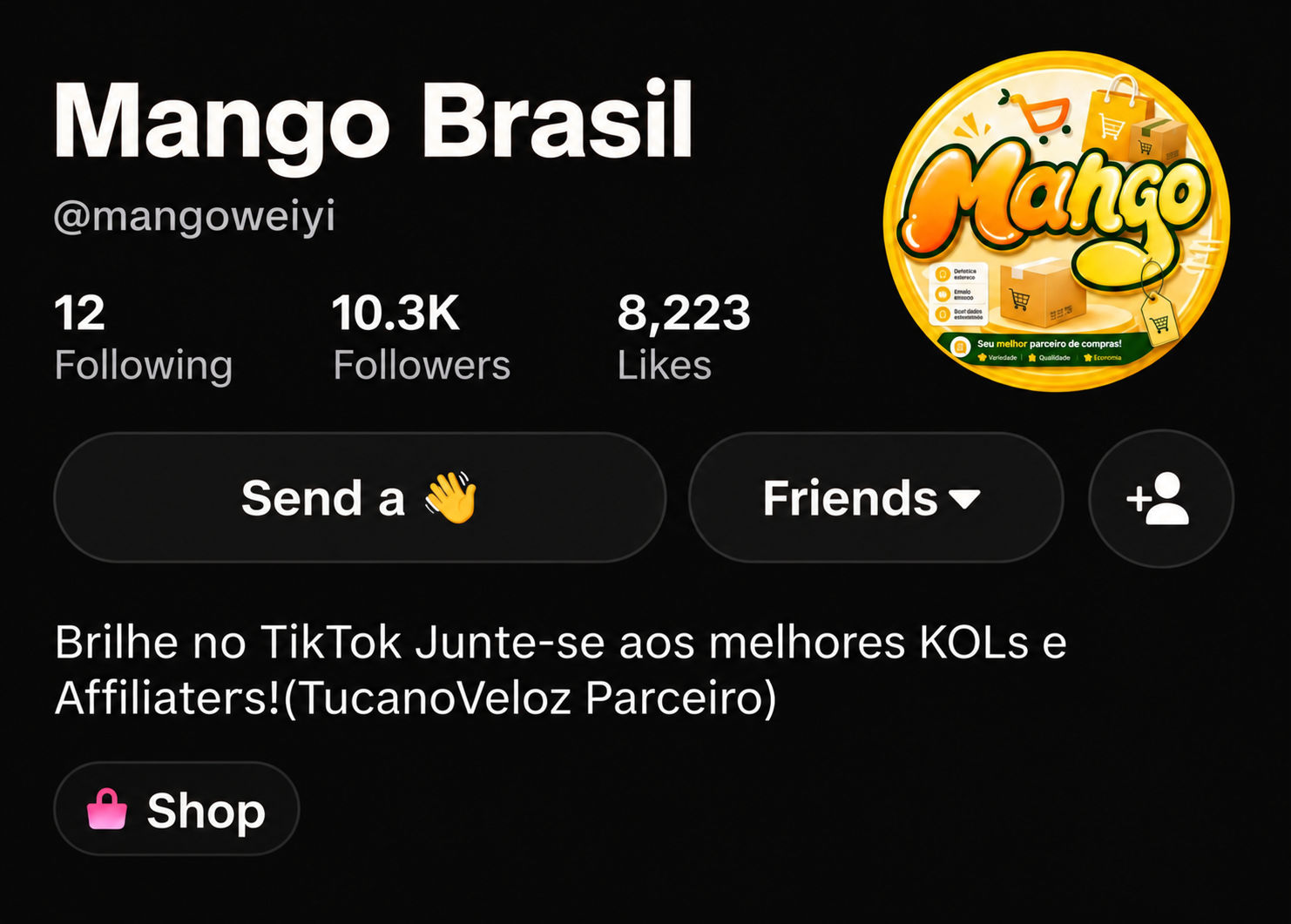 Mango Brasil TikTok Shop profile